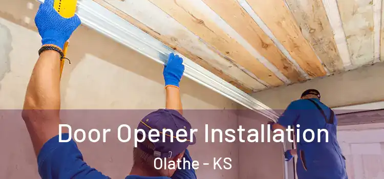  Door Opener Installation Olathe - KS