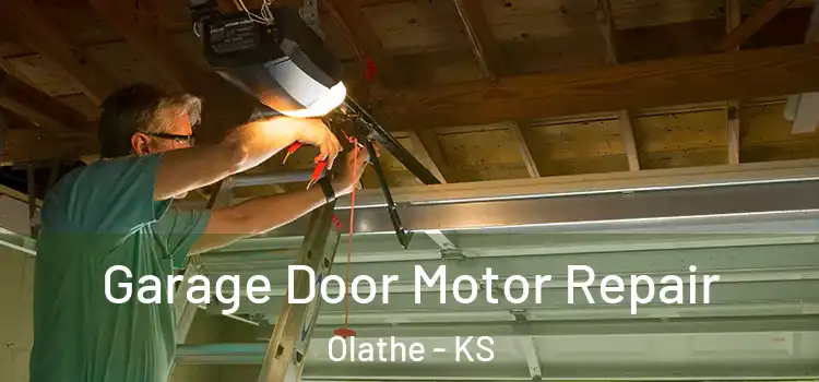  Garage Door Motor Repair Olathe - KS