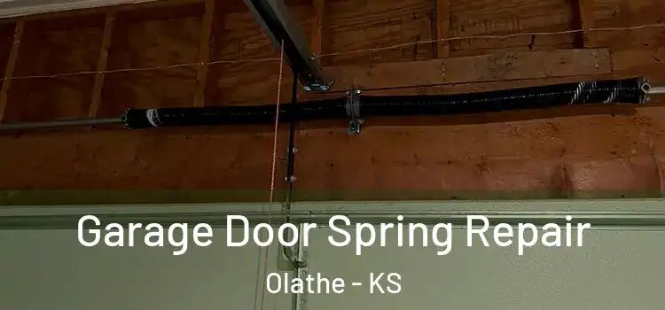  Garage Door Spring Repair Olathe - KS