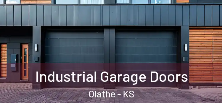  Industrial Garage Doors Olathe - KS