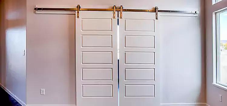 Glass Barn Door with Installation Hardware Kit Olathe