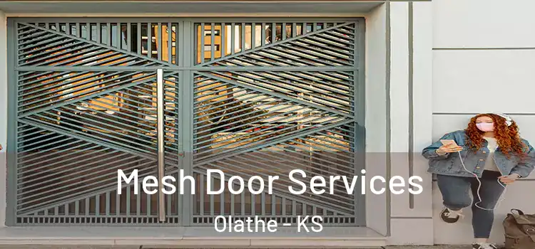 Mesh Door Services Olathe - KS