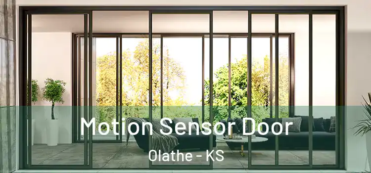 Motion Sensor Door Olathe - KS